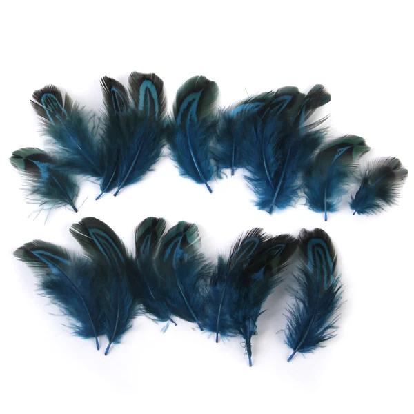 Fashionable Maxbell Pheasant Feathers for Craft Mask Hat 3-6cm 50pcs Verified