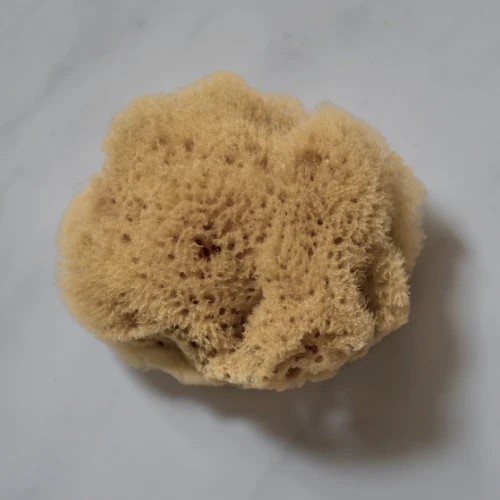 Premium NATURAL SEA SPONGE Authentic