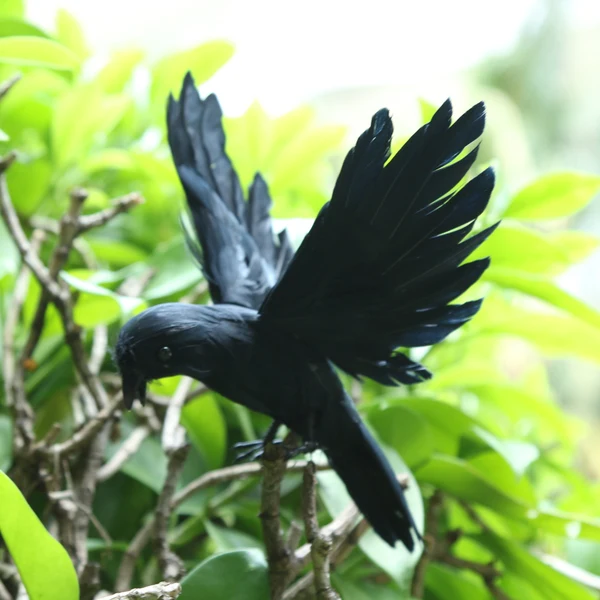 Lightweight Maxbell Lifelike Floating Hunting Shooting Garden Decor Toys Flying Crow Decoy Decor Premium
