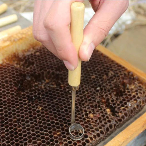 Innovative Maxbell Beekeeping Equipment Practical Beekeeping Tool Functional for Outside Garden Green
