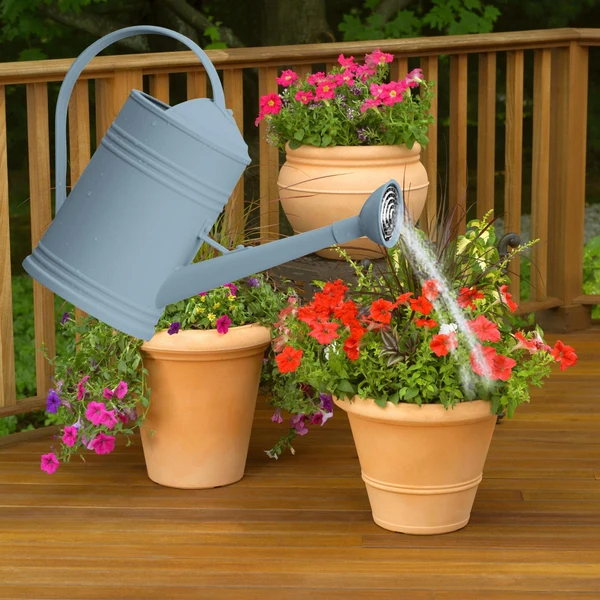 Modern Maxbell Watering Can Flower Watering Sprinkler Head for Indoor Garden Blue Casual