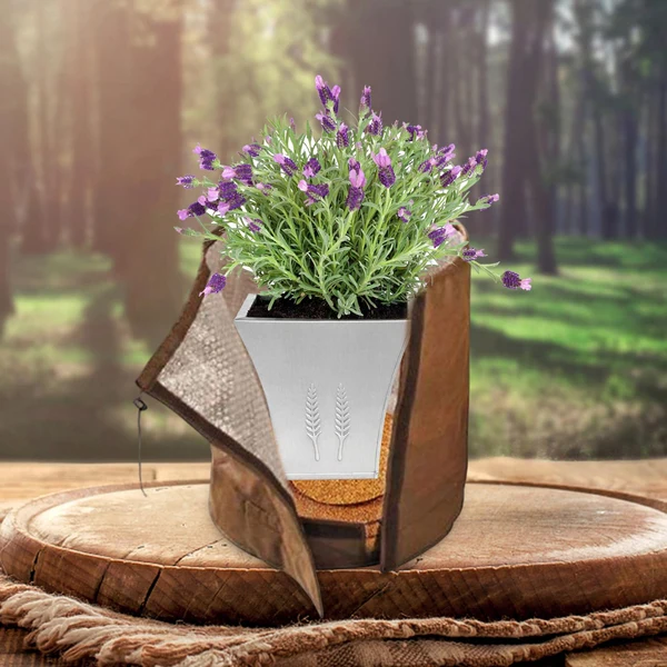 Exceptional Maxbell Winter Planter Frost Protection Cover Reusable for Outdoor Potted Yard 70x60cm Refined