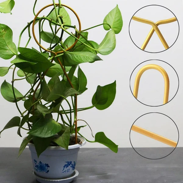Elegant Maxbell Flower Support Sturdy Support Stake Stand for Backyard Indoor Outdoor Style A Modern