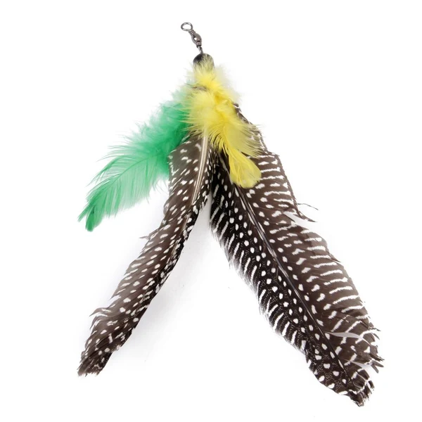 Premium Material Maxbell Cat Birds Teaser Feather Frenzy Refill Head Toy Random Color Premium