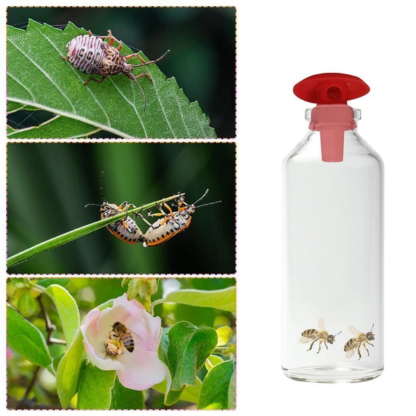 Minimalist Maxbell Wasp Control Hanging Reusable Fly Catcher Portable for Outdoor Farms Red Innovative
