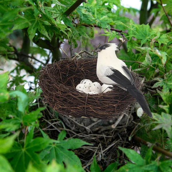 High-Quality Maxbell Nature Artificial with Eggs Decorative Bird Cage for Wedding white Trusted
