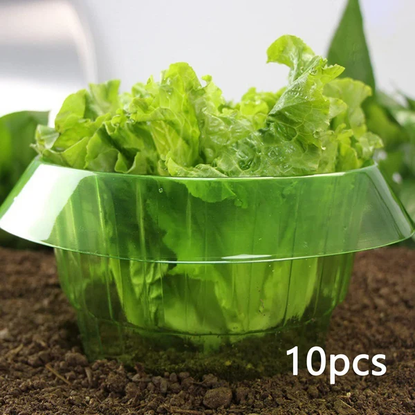 Dependable Maxbell Reusable Plants Protective Collars Protection Guard for Vegetables 10Pcs Versatile