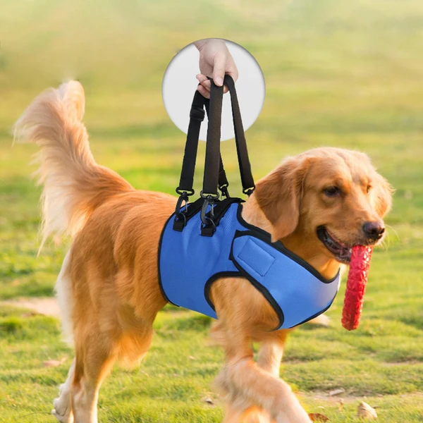 Enhanced Maxbell Dog Sling Helps Elderly Dogs with Reduced Mobility for Older Dogs Disabled S Next-Generation