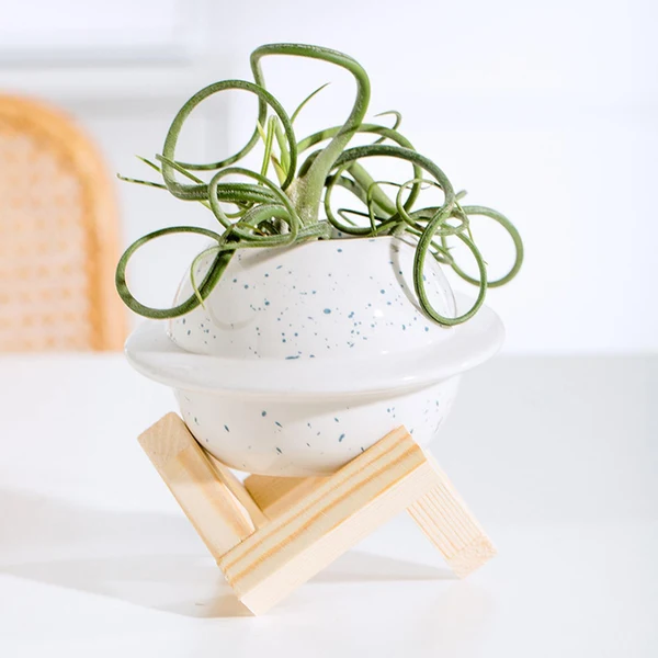 User-Friendly Maxbell Simple Flower Vase Tabletop Centerpieces Front Door Planters for Living Room white Fashionable