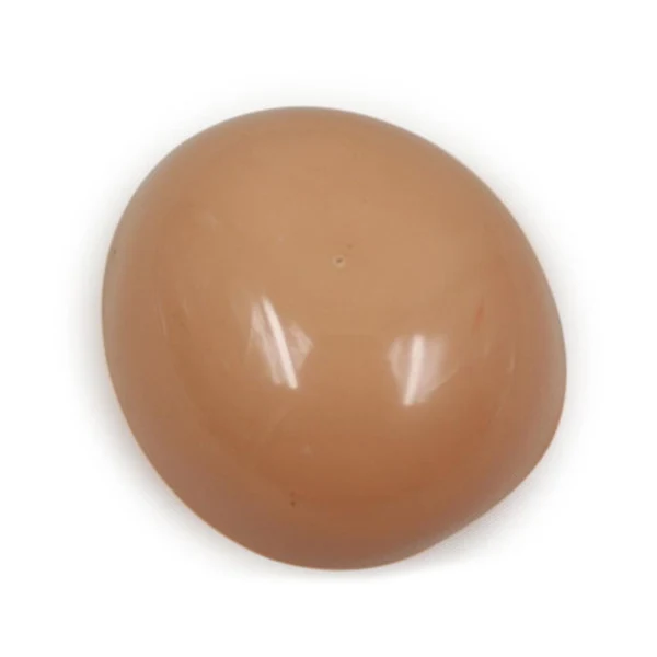 Enhanced Maxbell 12inch Doll Soft Head Scalp for Neo Blythe Nude Doll Custom Light Tanned Green