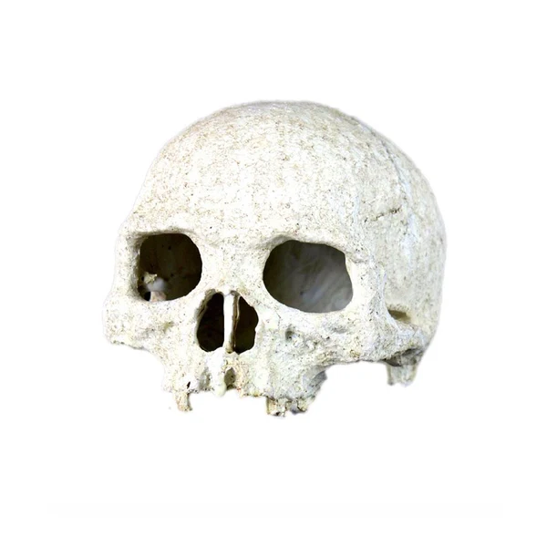 Innovative Maxbell Reptile Snake Turtle Vivarium Rock Caves Decor Aquarium Ornament Human Skull Convenient