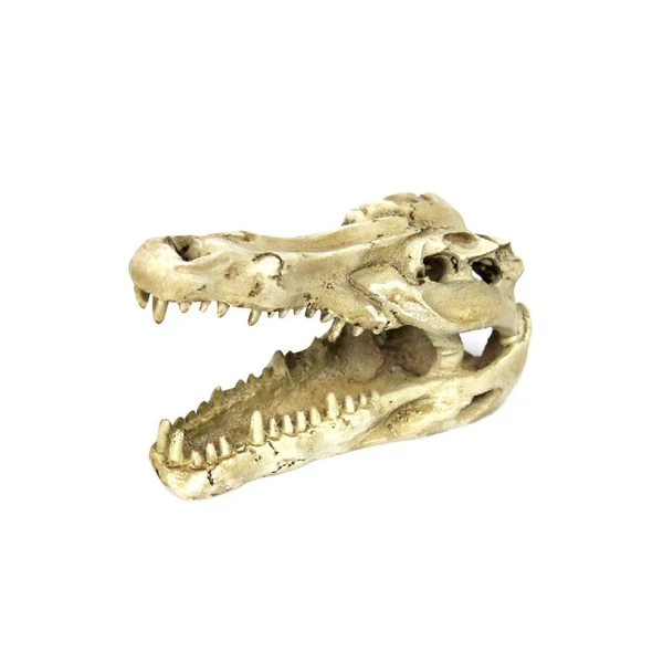 Proven Maxbell Reptile Snake Turtle Vivarium Rock Caves Aquarium Ornament Crocodile Skull Verified
