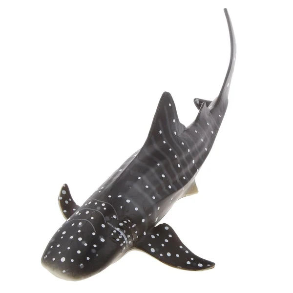 Contemporary Maxbell Kids Story Telling Animal Figure Showcase Display Model Educational Toy - Whale Shark Elegant