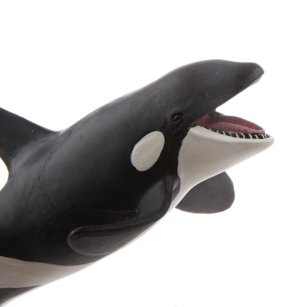 Fast Maxbell Kids Story Telling Animal Figure Showcase Display Model Educational Toy - Killer Whale Stylish