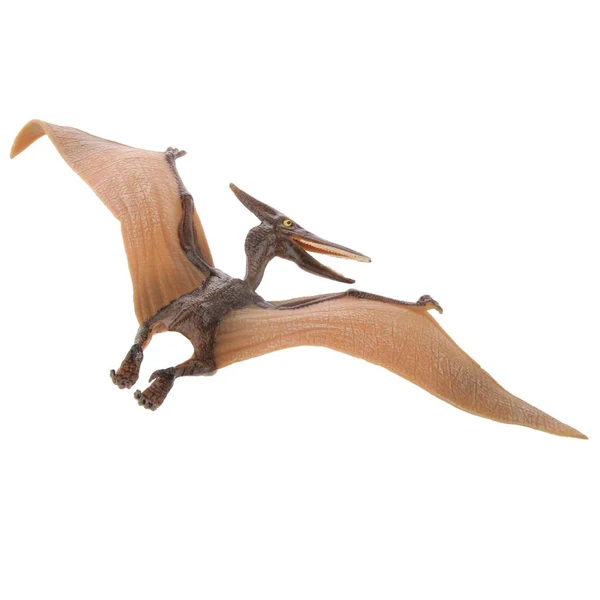 Outstanding Maxbell Kids Story Telling Animal Figure Showcase Display Model Educational Toy - Pterodactylus Authentic