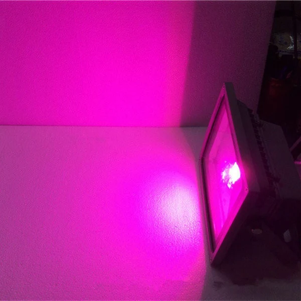 Expertly Made Maxbell 10W Flood light Waterproof Outdoor Security Spotlight Commercial Light Purple Versatile
