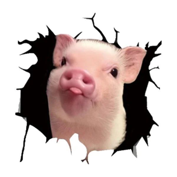 Lightweight Maxbell 3D Funny Pig Car Window Sticker PVC Sticker for Vehicle Window Ornament E Genuine
