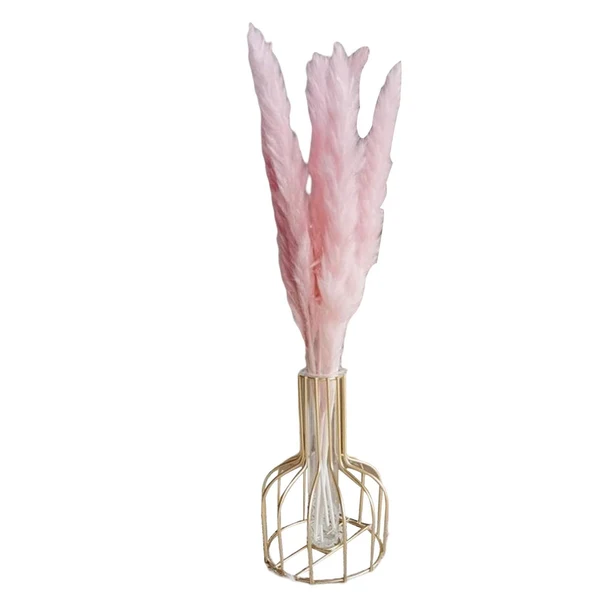 Proven Maxbell Maxbell 15x Natural Dried Pampas Grass Stems for Home Decor Party Flower Arrangement Soft