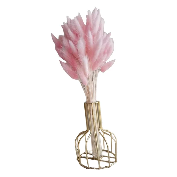 Advanced Maxbell Maxbell 60 Pieces Dried Bunny Tail Grass Short Stems for Photograph Props Party Home Pink Proven
