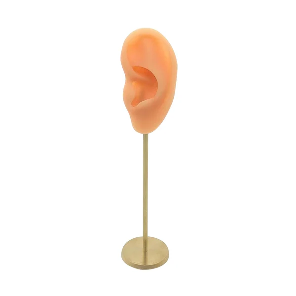 High-Performance Maxbell Earring Display Stand Human Ear Model Stud Holder Showcase Jewelry Organizer Left Normal Skin Relaxed