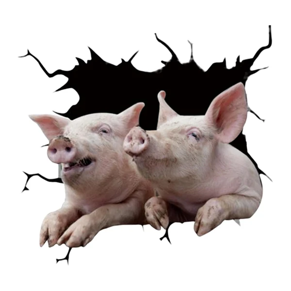 Enhanced Maxbell 3D Funny Pig Car Window Sticker PVC Sticker for Vehicle Window Ornament F Selected