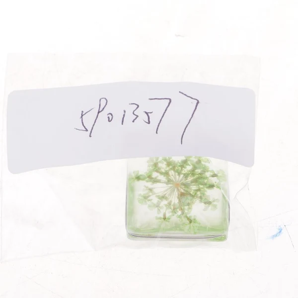 Proven Maxbell 1 Piece Dried Flower Crystal Pendants Glass Pendant DIY Jewelry Light Green Reliable