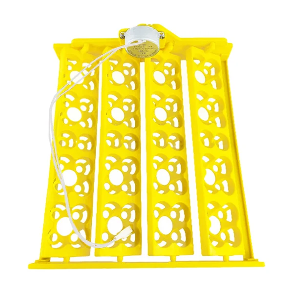 Long-Lasting Maxbell Egg Incubator Tray Egg Turner Turning Tray Accessory for Chicken Quail Goose AC12V Eco-Friendly