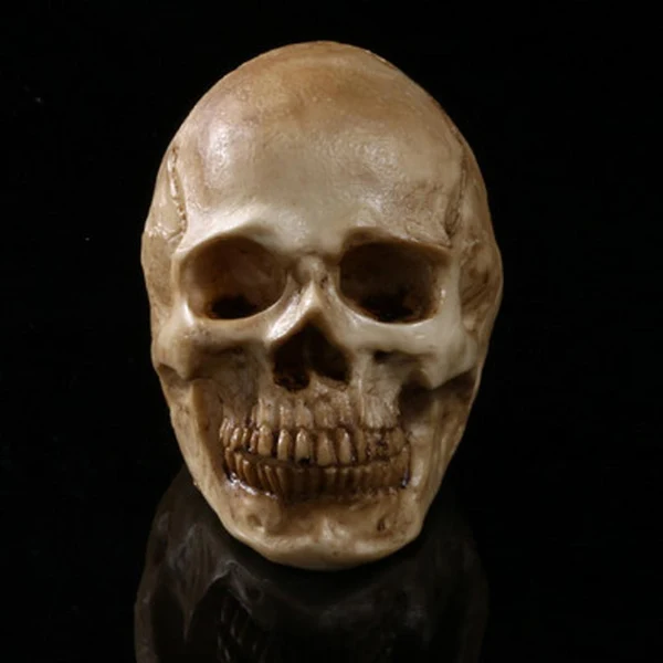 World-Class Maxbell Homosapiens Skull Figurine Human Skeleton Head Decor Antique Yellow Recyclable