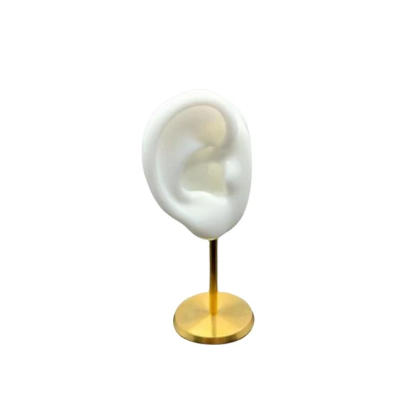 Solid Maxbell Earring Display Stand Ear Model Stud Holder with Base for Birthday Showcase White Right Proven