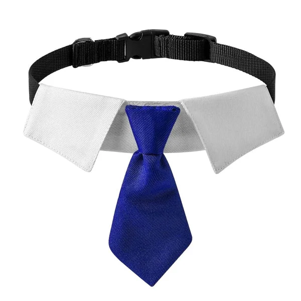 Premium Maxbell Modern Dogs Collar Walking Traveling Pets Gifts Boys Girls Dogs Pet Bow Tie Blue Sustainable