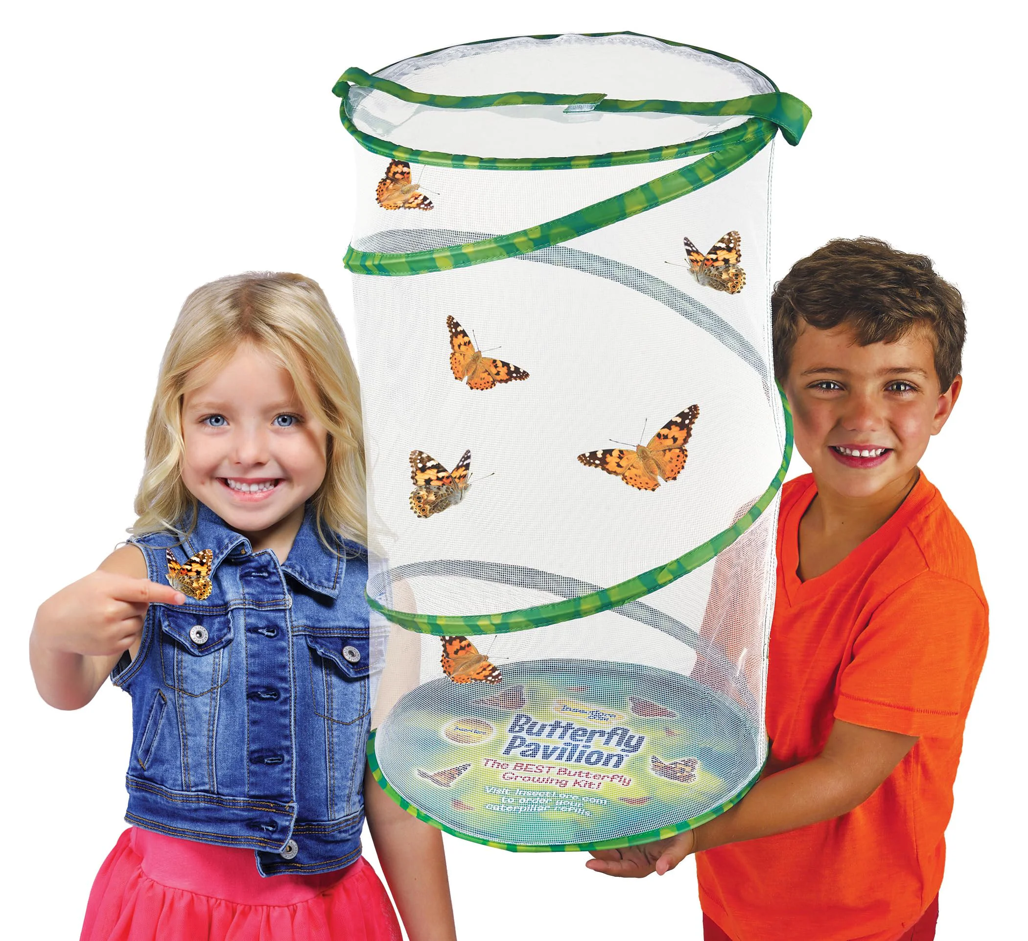 Sustainable Insect Lore Giant Butterfly Garden – 18 Habitat with Life Cycle Figurines to Redeem 5 Baby Caterpillars Raise Painted Lady Butterflies Enhanced