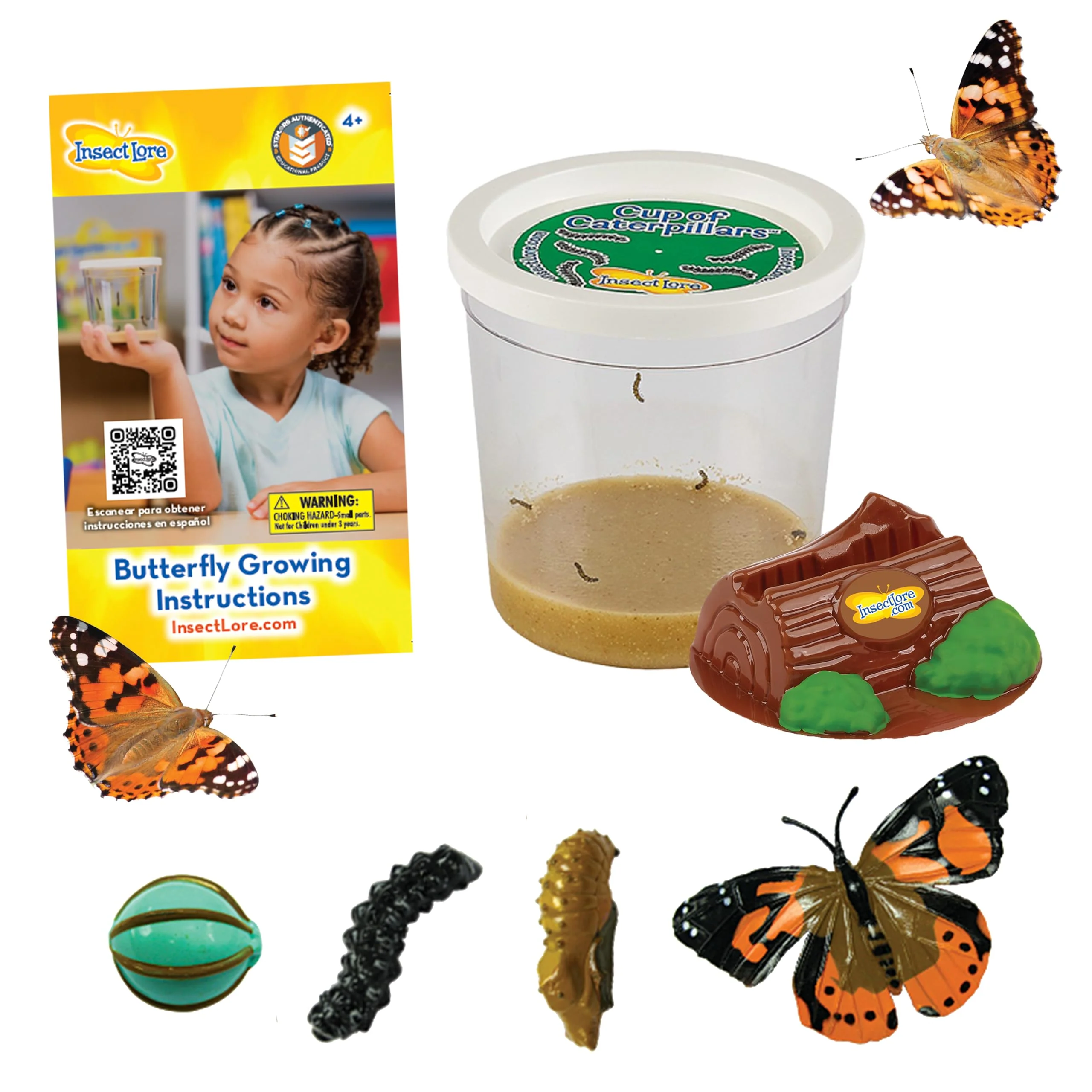 Modern Insect Lore Cup of Caterpillars – 5 Live Painted Lady Caterpillars with Food Figurines Refill Kit for Butterfly Garden Fun STEM Activity for Kids Eco-Friendly