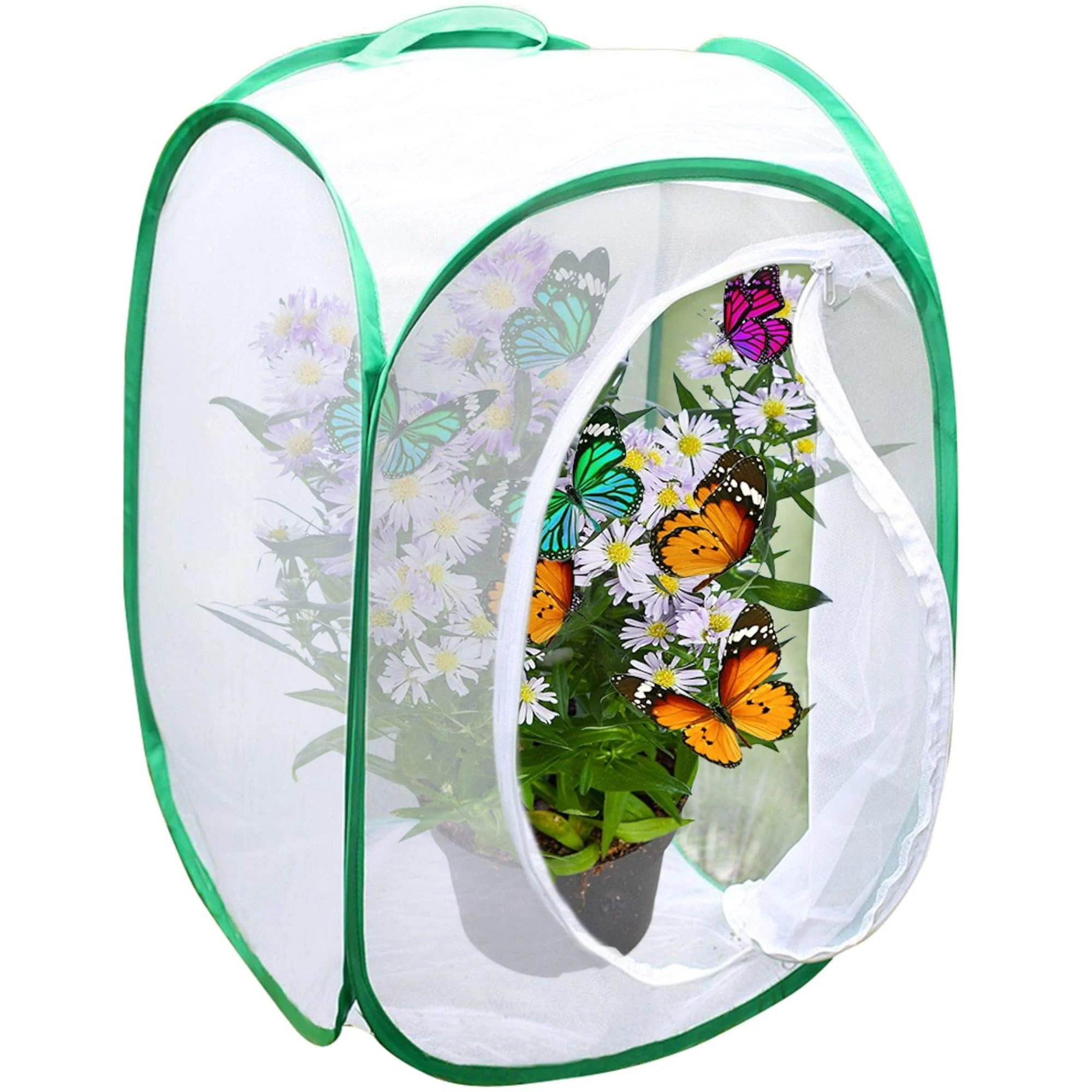 Sophisticated SunGrow Foldable Butterfly Habitat – 24 Cage for Caterpillars Butterfly Farm Insect Enclosure for Breeding Ladybugs Dragonflies More Green Effective