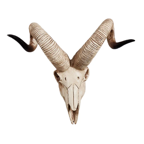 Powerful Maxbell Resin Long Horned RAM Decor Skull Wall Mount Skull Decor for Home Office D 42x34x16cm Prestigious