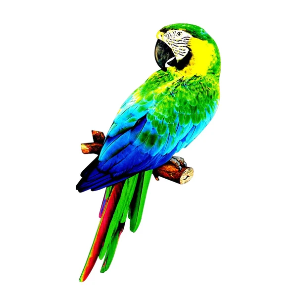 Premium Material Maxbell Maxbell Colorful Artificial Parrots Figurines Sculpture for Garden Party Decoration style A Elite