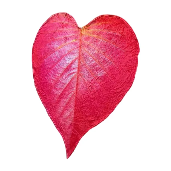 Green Maxbell Red Simulated Leaf Flannel Blanket Lightweight for Friends family 200cmx230cm Artisan