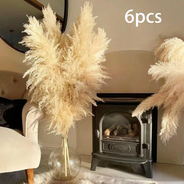 First-Class Maxbell Long Dried Pampas Grass Decor for Vase Fluffy bouquet Arrangement Breathable