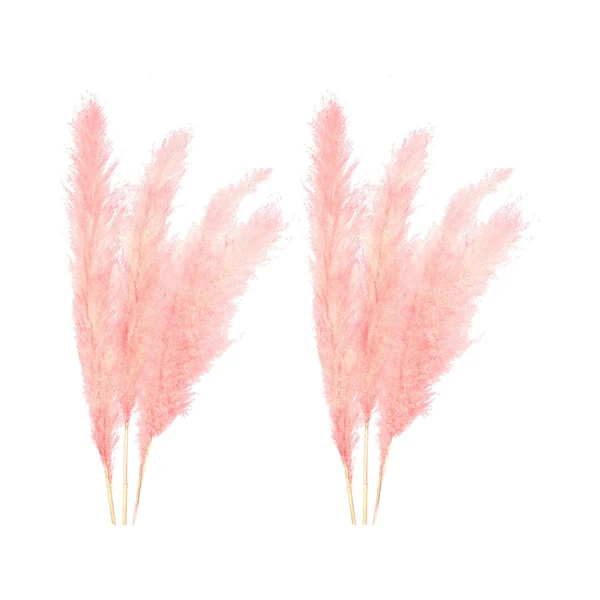 Versatile Maxbell 6Pcs Boho Dried Pampas Grass Party Phragmites Reed Flower for Vase Bouquet Length 120cm Unique