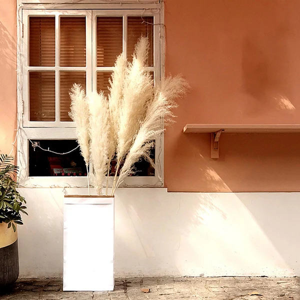 Modern Maxbell White Dried Pampas Grass Natural Dried for Party Wedding Decor Vase 6pcs Large Contemporary