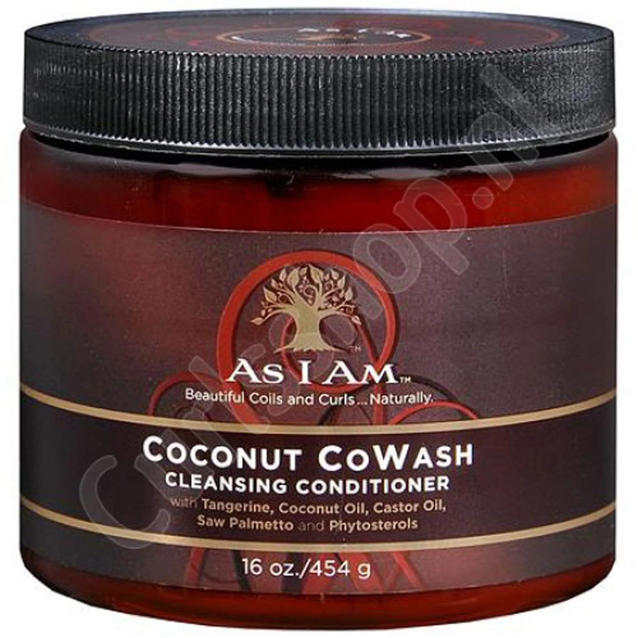 Fast As I Am Coconut Cowash 16 Ounce Pack of 1 Elegant
