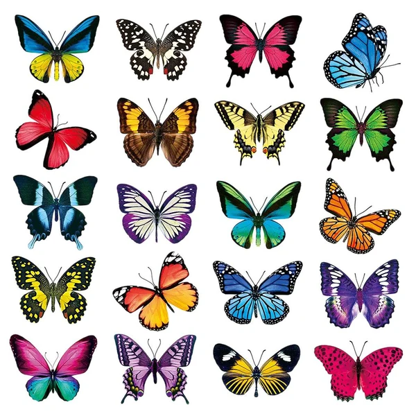 Premium Material Maxbell 20Pcs Butterfly Window Clings Window Decals Bathroom Living Room Ornament Proven