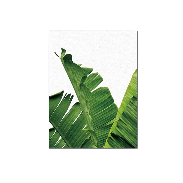 Expertly Made Maxbell Tropical Plants Banana leaves Palm leaves Wall Hanging Painting Picture M Genuine