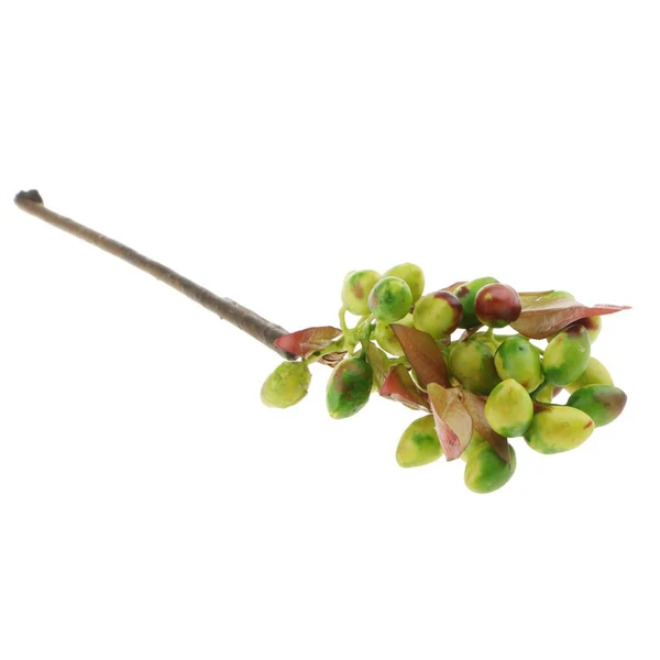 Modern Maxbell Artificial Plant Flower Olive Fruit Berries Bouquet Home Decor Green Eco-Friendly