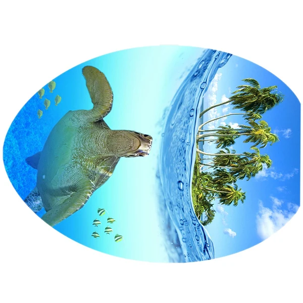 Casual Max Maxb Creative 3D Toilet Stickers Bathroom Decorative Decals Turtle Organic