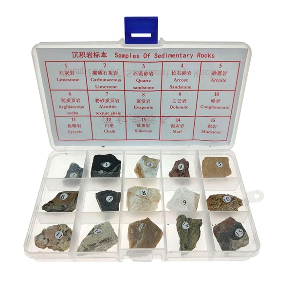 Original Design Max Maxb Sedimentary Rock Specimen Educational Sedimentary Stone Teaching Aid Certified