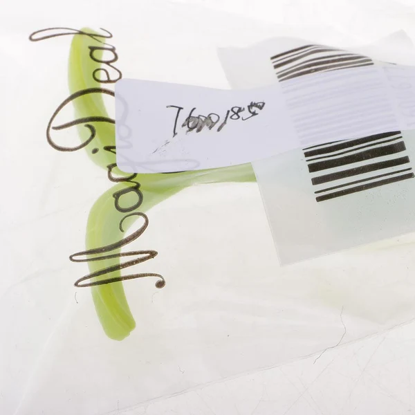 Casual Max Fashion Design Novelty Green Bean Sprout Silicone Vacuum Sealed Wine Stopper Organic