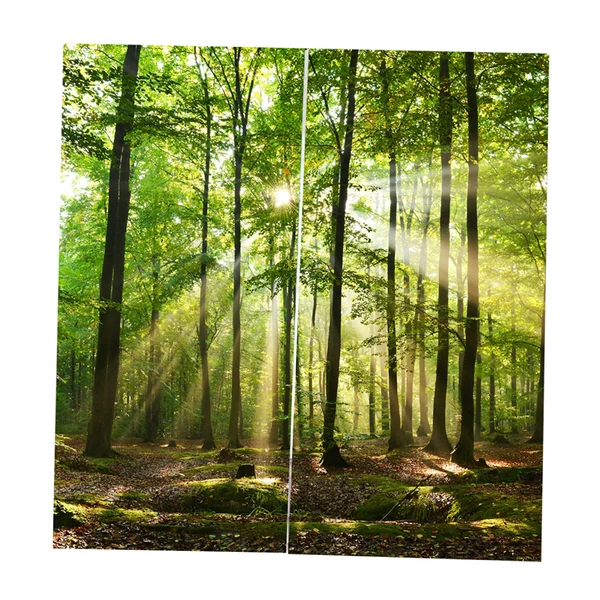 Healthy Max Set of 2 Panel Digital Printing 3D Curtains Window Sunshine First-Class