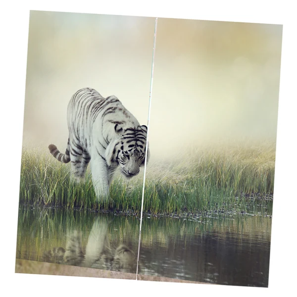 Reliable Max Set of 2 Panel Digital Photo Printing Blackout 3D Curtains White Tiger Refined