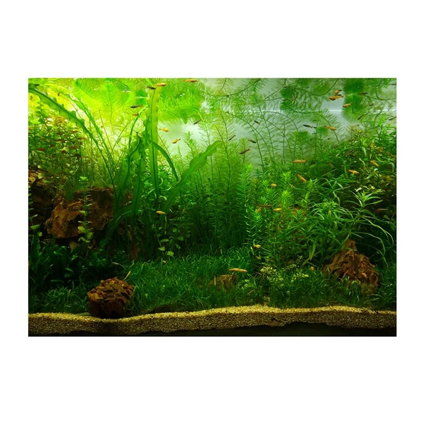 Refined Max PVC Aquarium Background Poster Fish Tank Plants Landscape Decor 122x46cm Fast