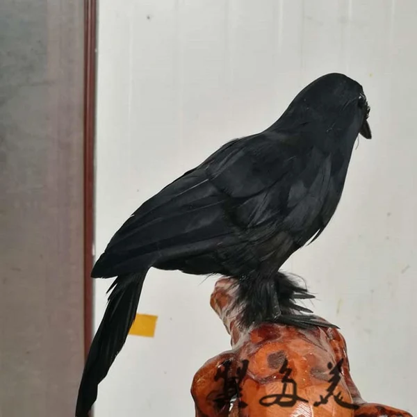 Comfortable Max Artificial Feathered Small Crows Birds Ravens Props Halloween Decor 1 Black Recyclable